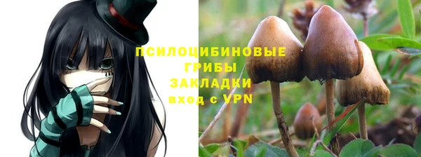 шишки Алзамай