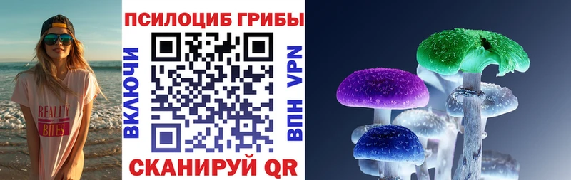 Псилоцибиновые грибы Magic Shrooms  Сухиничи 